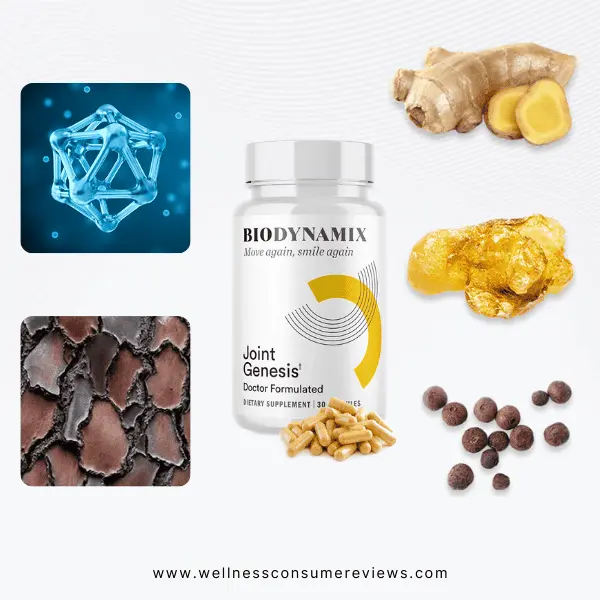 Joint Genesis Ingredients - Wellness Consumer Reviews